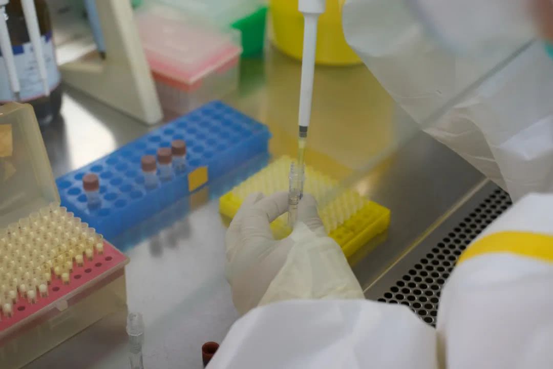 核酸檢測(cè)又降價(jià)！多地增設(shè)24小時(shí)檢測(cè)服務(wù)機(jī)構(gòu)